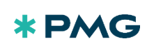 PMG Projektraum Management GmbH